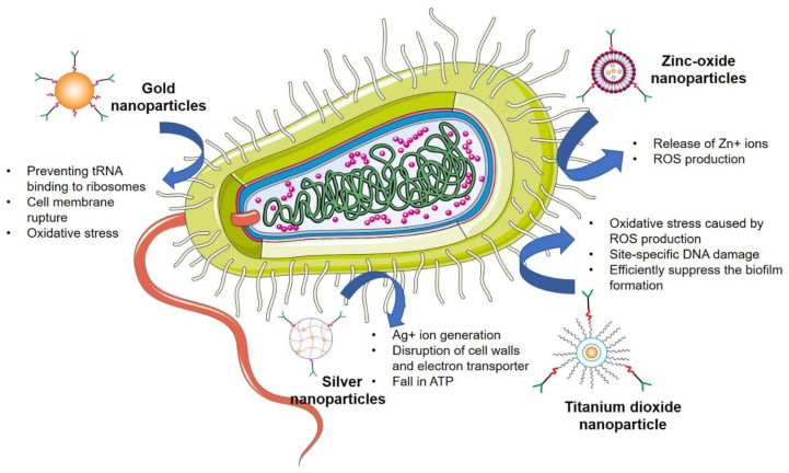 Figure 5