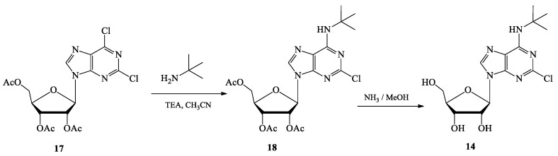 Scheme 2