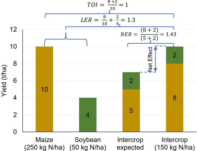 graphic file with name pnas.2201886120fig06.jpg