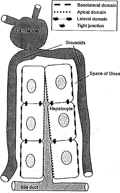 Fig. 6.2.