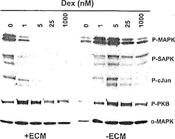 Fig. 6.7.