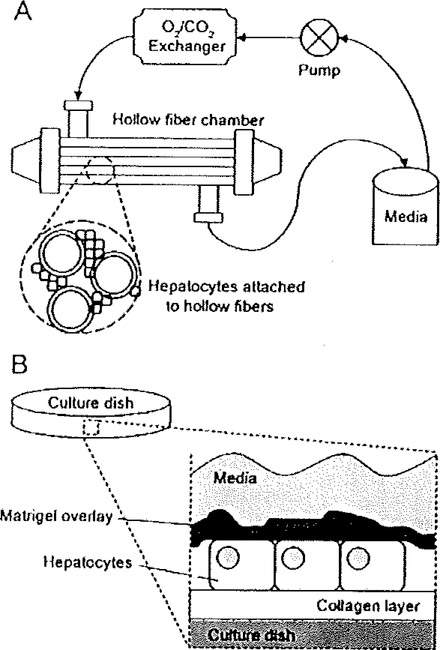 Fig. 6.1.