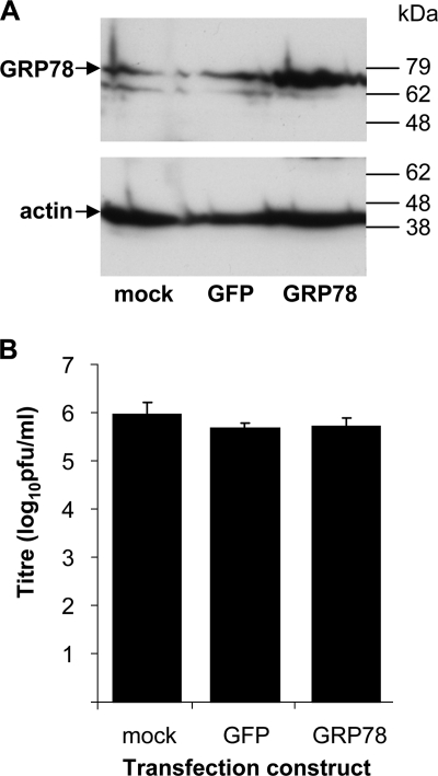 FIG. 5.