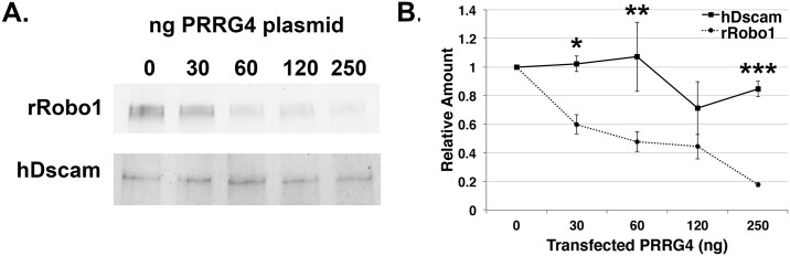 Fig 7