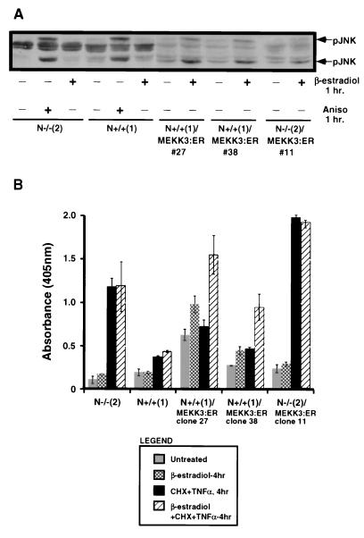 FIG. 5.