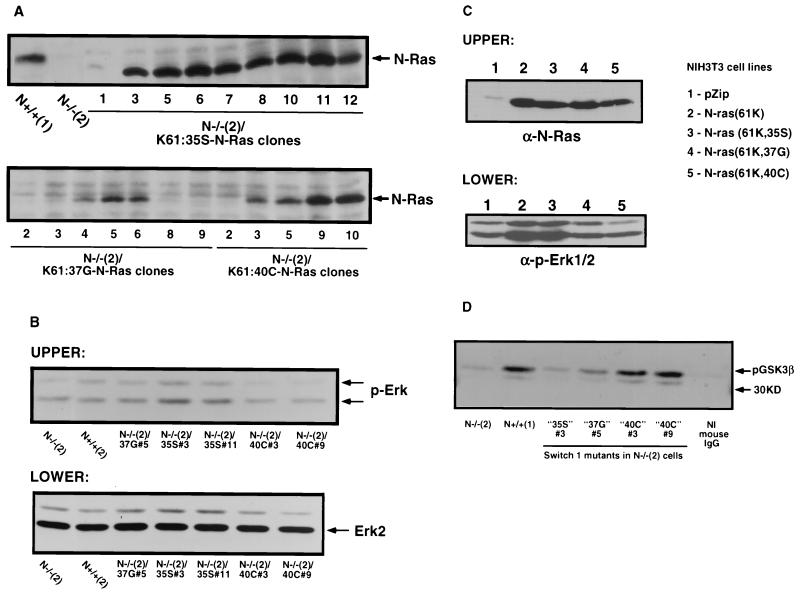 FIG. 6.