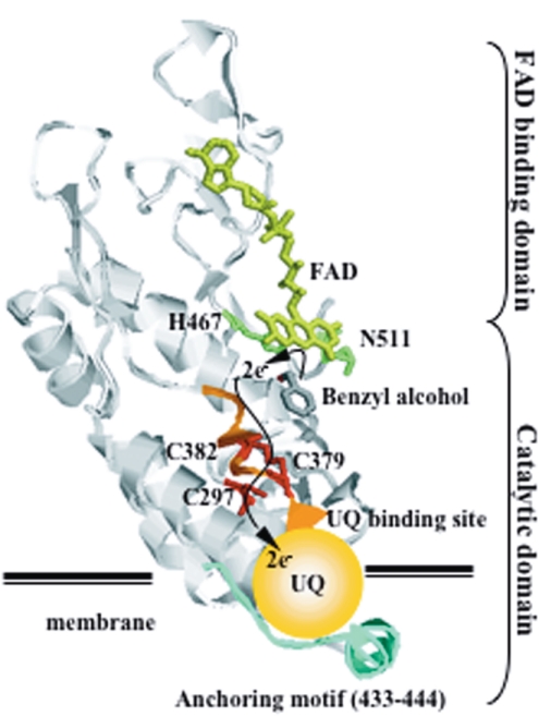 FIG. 6.