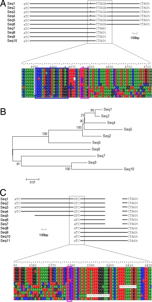 Fig. 4.