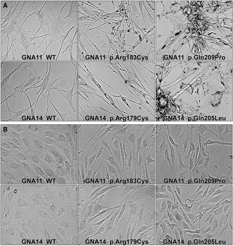 Figure 2