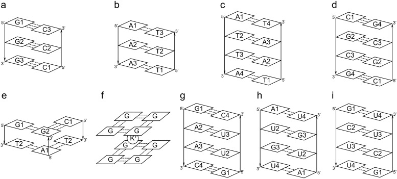 FIG. 3.