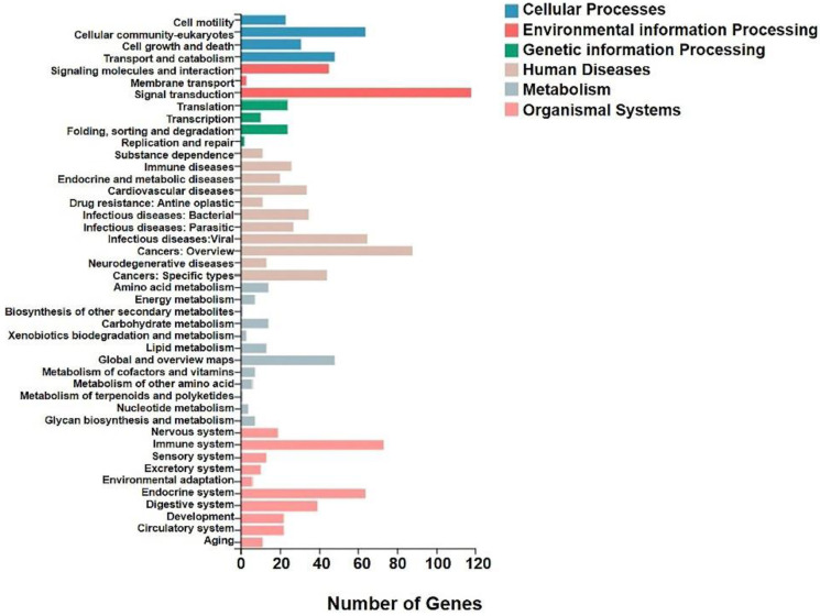 Figure 13