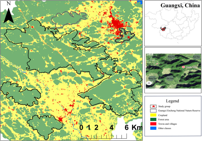 FIGURE 1