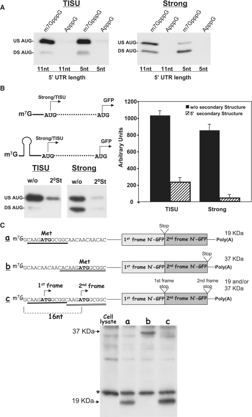 Figure 4.