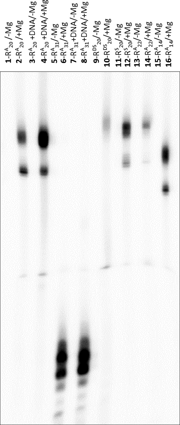 FIGURE 11.