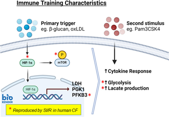 graphic file with name 210_2024_3107_Figa_HTML.jpg