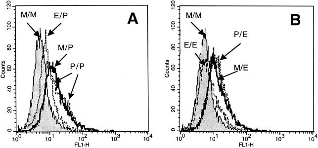 FIG. 5.