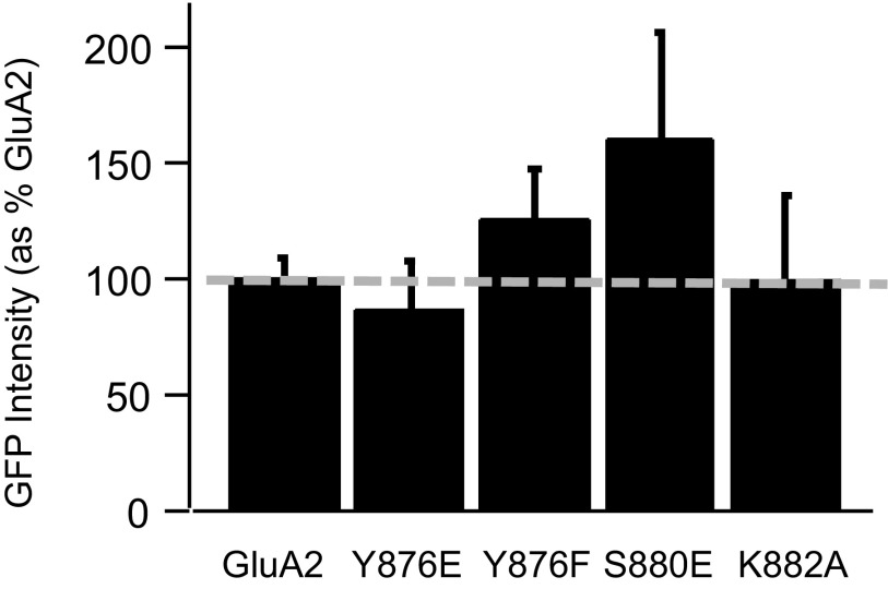 Fig. S4.