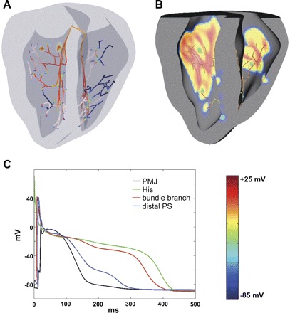 Fig. 1.