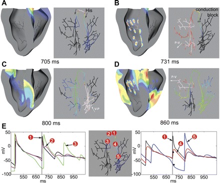 Fig. 4.