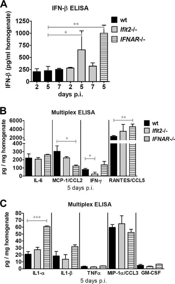 FIG 4