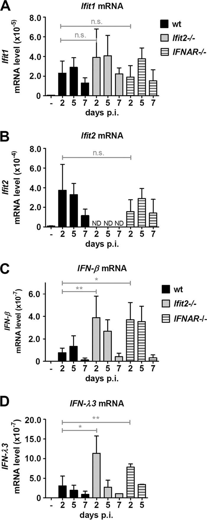 FIG 3