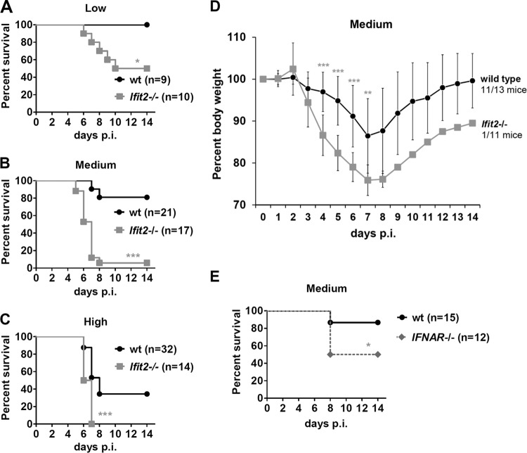 FIG 1