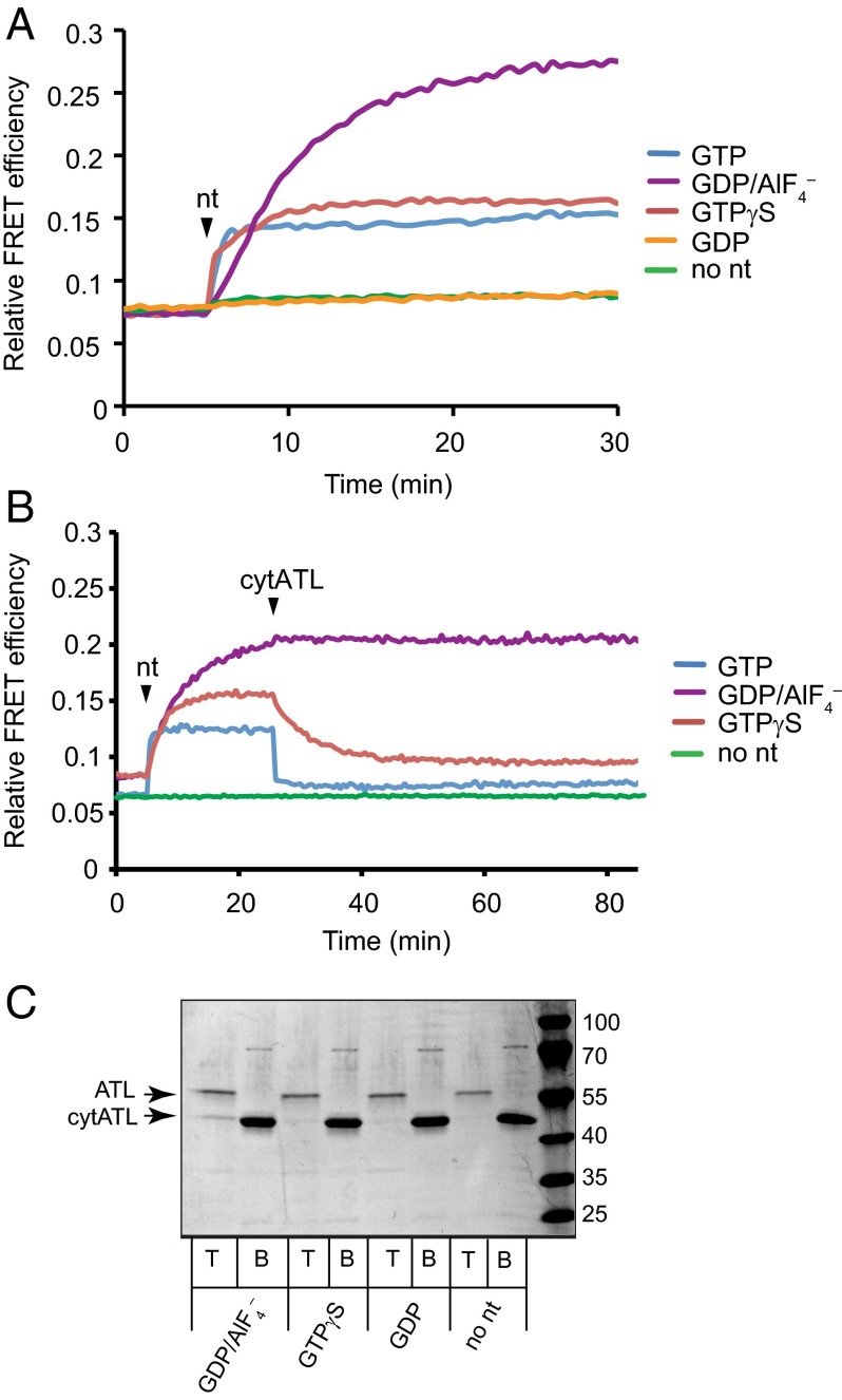 Fig. 7.