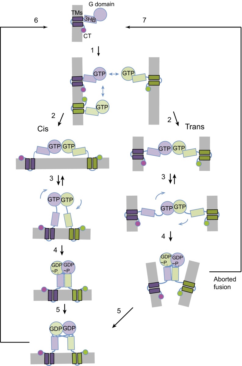 Fig. 10.