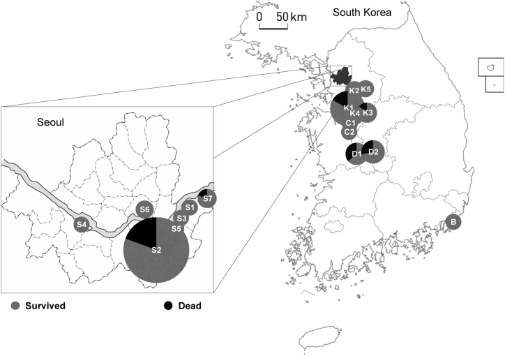 Fig. 2