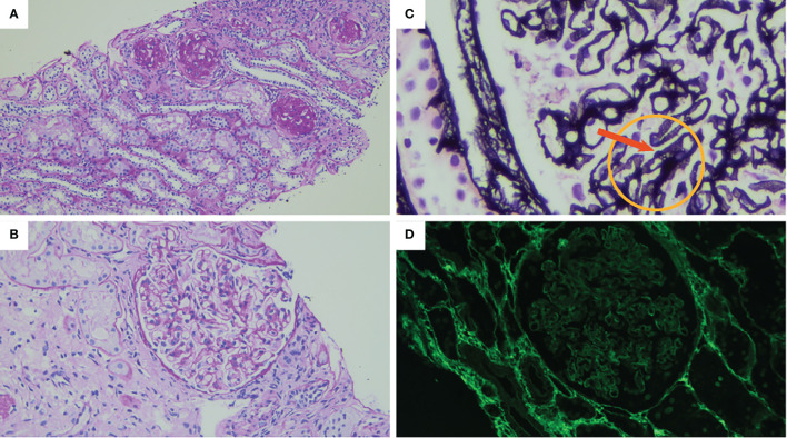 Figure 2