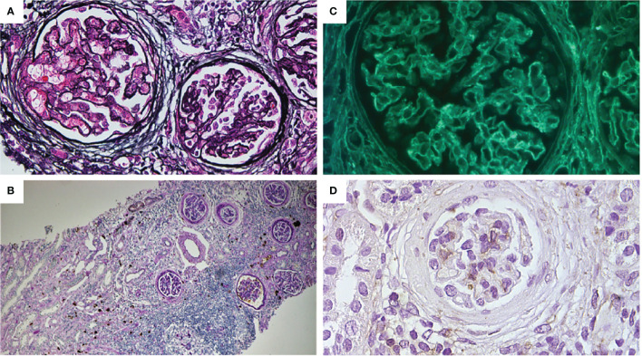 Figure 3