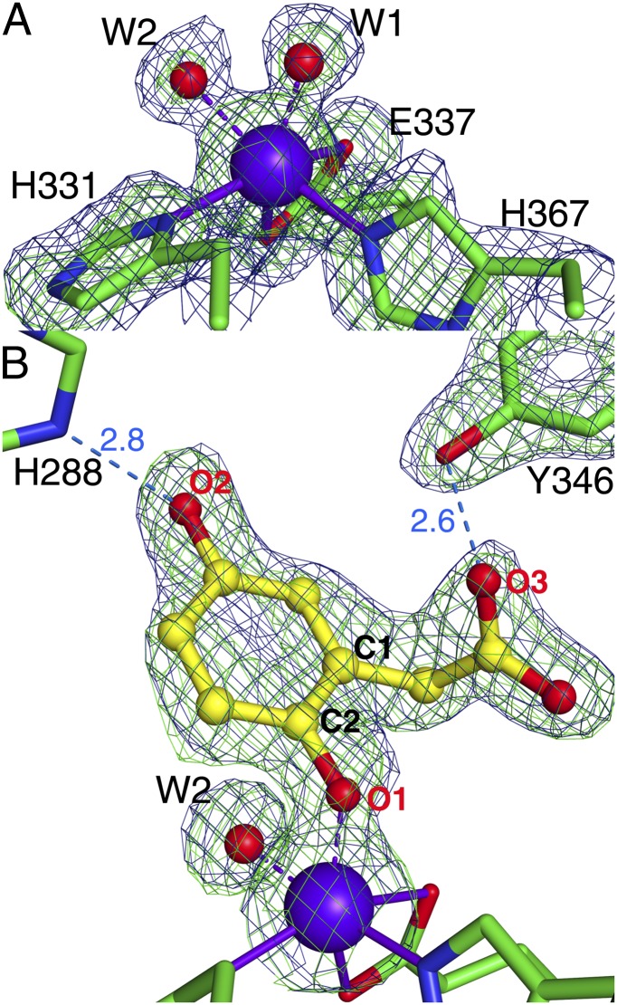 Fig. 2.