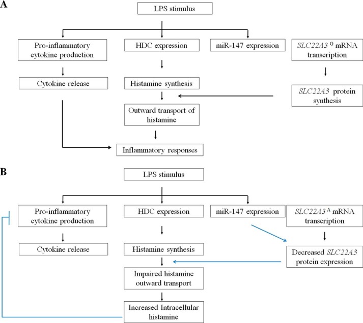 FIGURE 10.