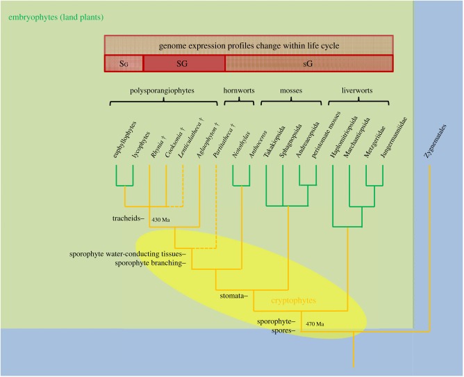 Figure 4.