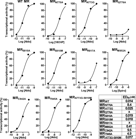 FIGURE 4.