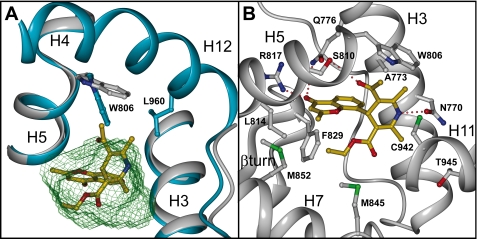 FIGURE 3.