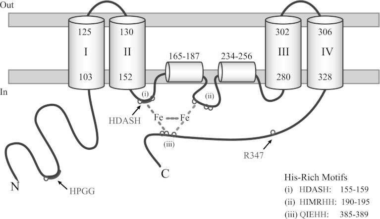 Fig. 5