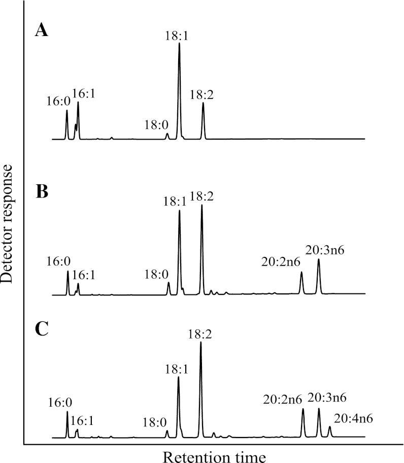 Fig. 2