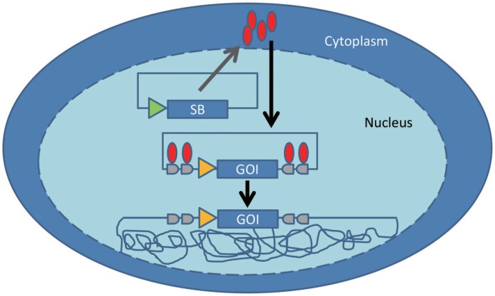 Figure 1.