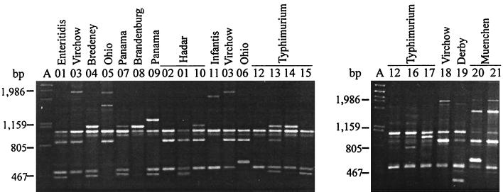 FIG. 1