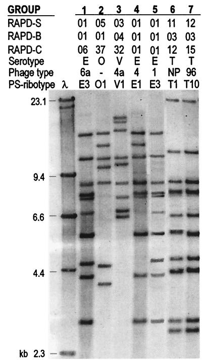 FIG. 4