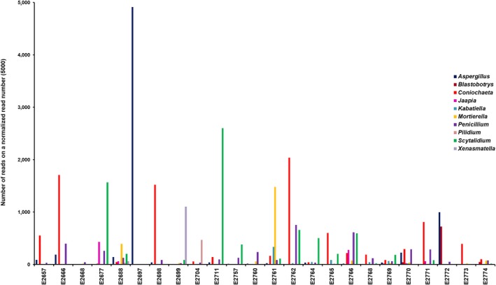 Figure 6