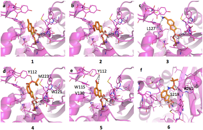 Figure 5