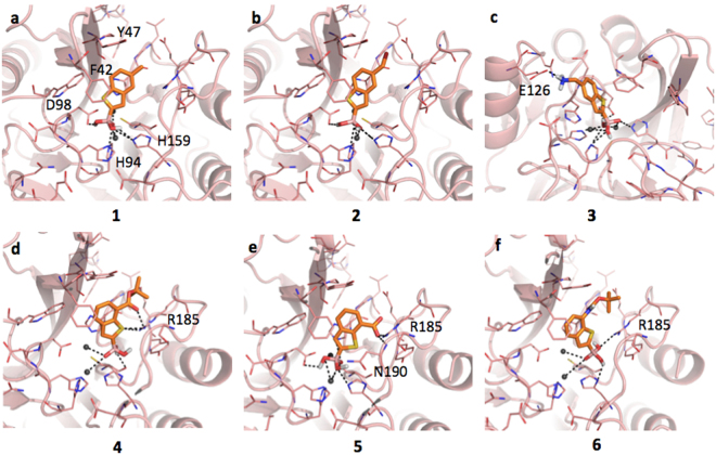 Figure 7