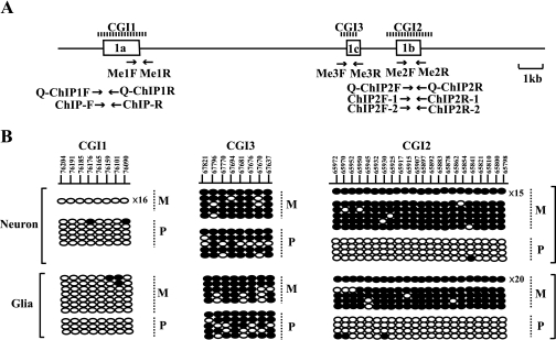 FIG. 4.