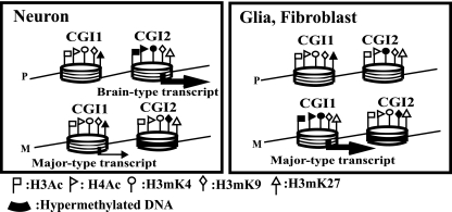 FIG. 7.