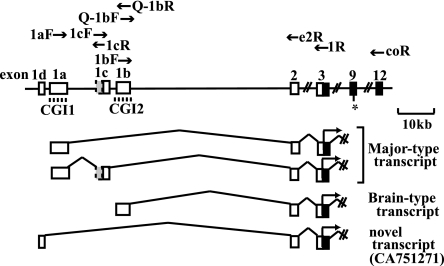 FIG. 1.