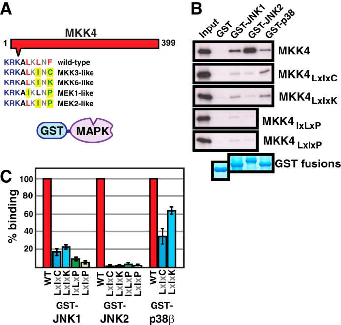 FIGURE 4.