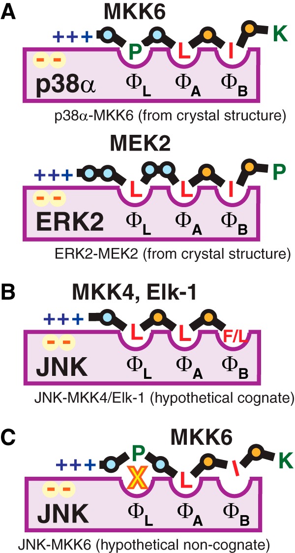 FIGURE 9.