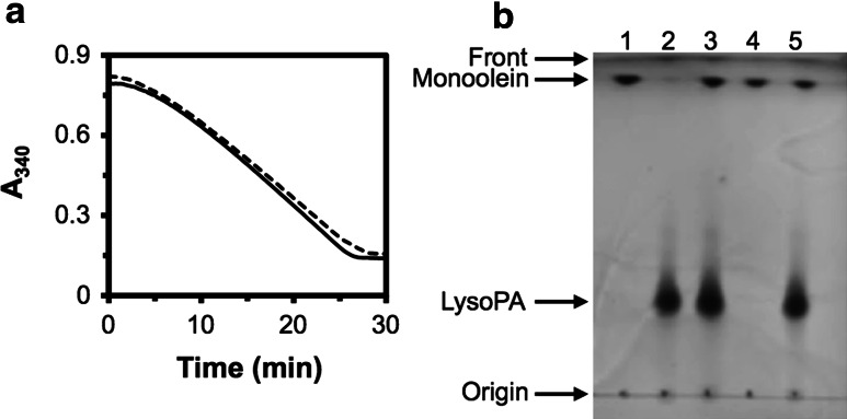 Fig. 6